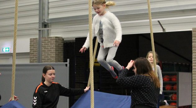 Volleybaltoernooi 6 januari 2019